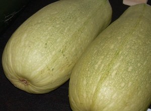 PAIR OF MARROWS (any size)