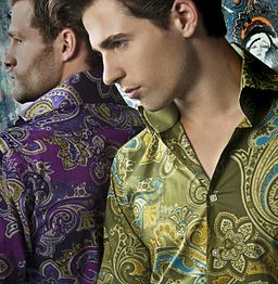 Paisley shirt