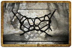 2912227101_1ff7a935d8_m