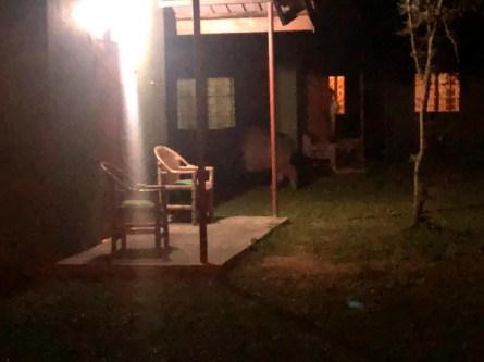 c389a34d-ed93-42ba-84a1-60ba6c6e92de