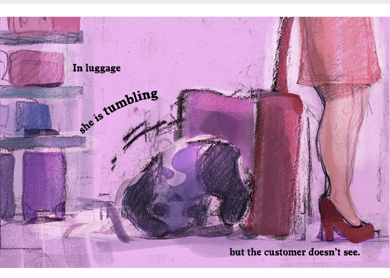 A8DA2297-5831-4A2B-93F2-9427FF602C09_1_201_a